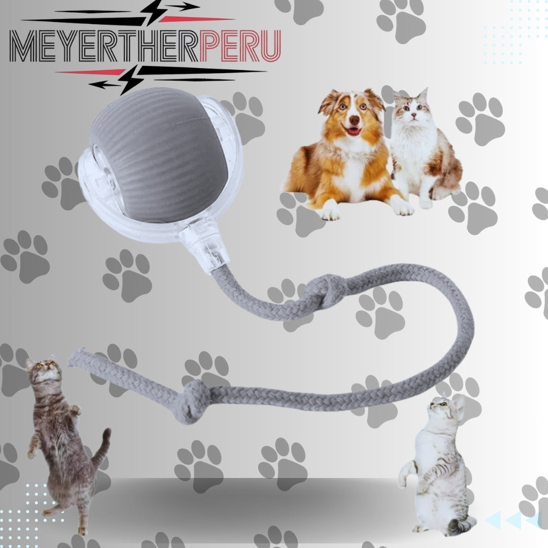 Pelota Interactiva Para Tus Mascotas